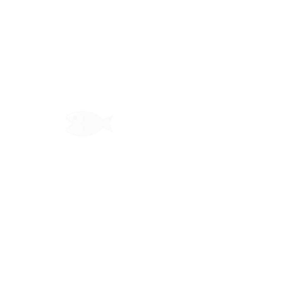 Kitchendecor Partner Baumatic